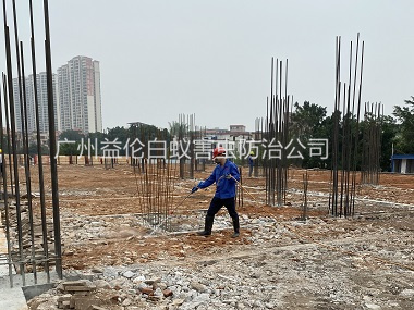 广州新建房屋工程预防白蚁