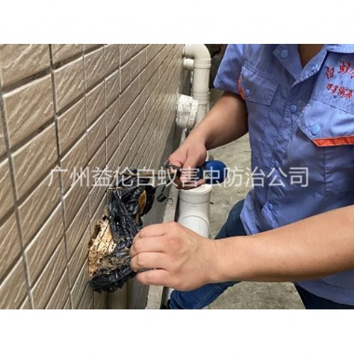 白云区建筑灭治白蚁工程